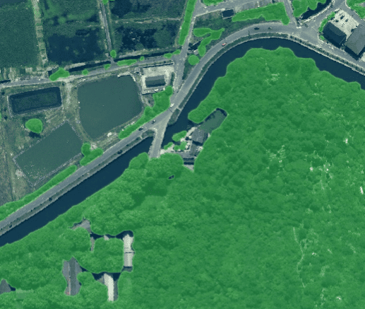 林地高精度识别